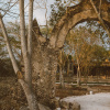 Отель Viatura Hacienda Xtojil, Yucatan, Merida, with Optional All Inclusive, фото 36