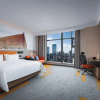 Отель Hebi High Speed Rail Station Hilton Hotel, фото 3