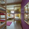 Гостиница Crazy Monkey Hostel next to the Moscow Zoo, фото 16