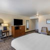 Отель Best Western Plus Royal Oak Hotel, фото 14