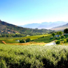 Отель Alluvia Wine Estate, фото 6