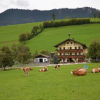 Отель Schiestlhof, фото 9