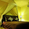 Отель Cosy Inn Motel, фото 4