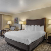 Отель Best Western Plus Royal Oak Hotel, фото 5