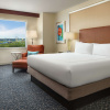 Отель Hilton Orlando, фото 3