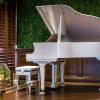 Отель The Volare, Ascend Hotel Collection, фото 25