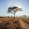 Отель Mawe Luxury Tented Camp, фото 15