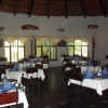Отель Hippo Creek Lodge, фото 8