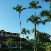 Отель Residence Caribe by santodomingoblu, фото 15