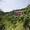 Отель Agriturismo 5 Terre, фото 10