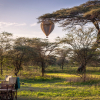 Отель Gnu Ndutu Camp, фото 18
