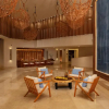 Отель Dreams Aventuras Riviera Maya - All Inclusive, фото 24