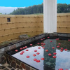 Отель Hakuba Century Hotel, фото 10