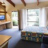 Отель Pinnacle Holiday Lodge, фото 3
