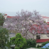 Отель Alisa Guest House, фото 12