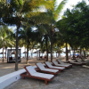 Отель Oasis Palm Hotel, фото 28