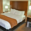 Отель Comfort Inn & Suites Vancouver Downtown City Center, фото 5