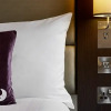 Отель Premier Inn  Oxford Botley, фото 6
