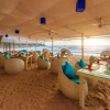 Отель Andaman White Beach Resort, фото 17