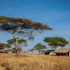 Отель Mawe Luxury Tented Camp, фото 1