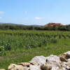 Отель Podere La Pinnetta, фото 11