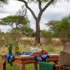 Отель Baobab Tented Camp, фото 34