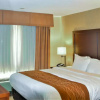 Отель Comfort Inn & Suites Vancouver Downtown City Center, фото 4