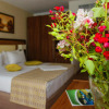 Отель New Hotel Egreta, фото 7