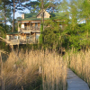 Отель Cypress Moon Inn, фото 10