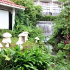 Отель Shenzhen Evergreen Resort Hotel, фото 19