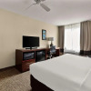 Отель Comfort Inn & Suites Sequoia/Kings Canyon, фото 10