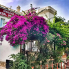 Отель Bodrum Merkez Kumsal Pansiyon, фото 1