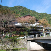 Отель Furusato, фото 7