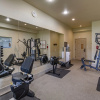 Отель Best Western Plus Monica Royale Inn & Suites, фото 18