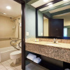 Отель DoubleTree by Hilton Hotel Orlando at SeaWorld, фото 12