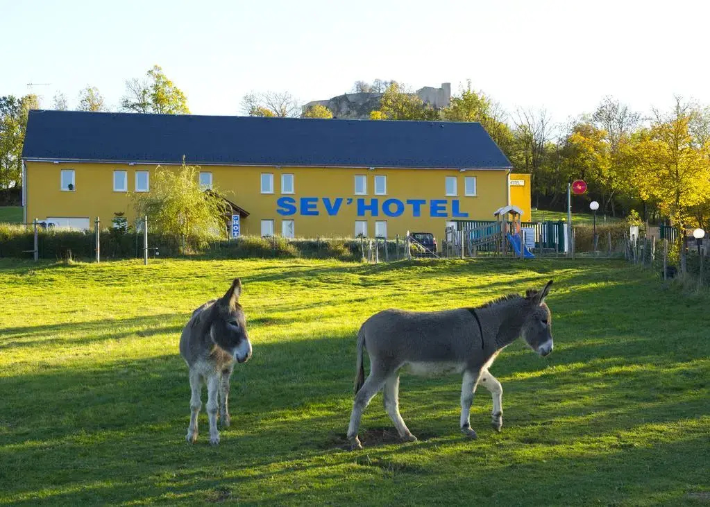 Hotel photo 8