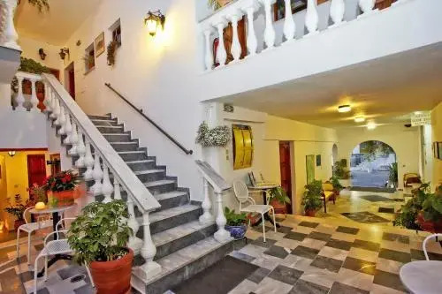 Image 12