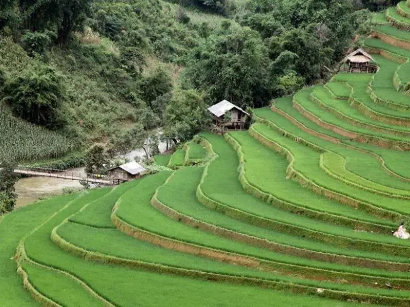 Sung Duan Stilt House