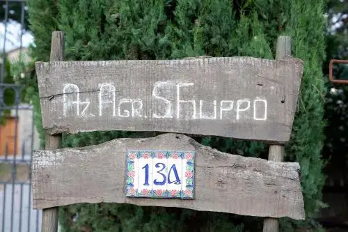 Tenuta San Filippo - Général