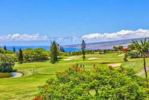 Sunsets to Live For! Waikoloa Fairways A310 AC & WIFI