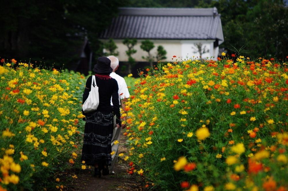 Akigawa Valley Inn Kinkoukaku 사진 29