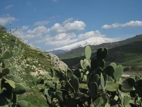 Lo Scudiero Di San Teodoro