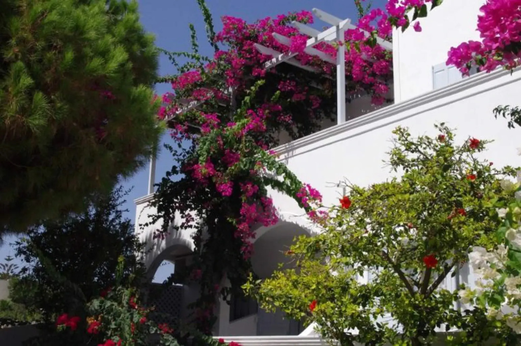 Beach Houses Santorini