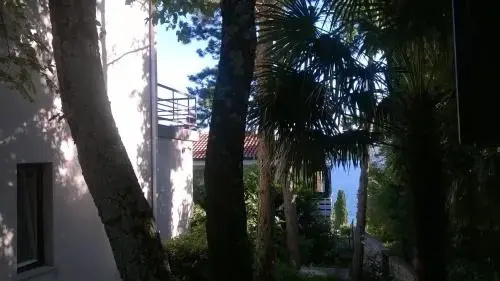 Jasmina Guesthouse