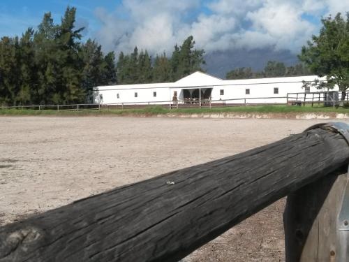 Cape Winelands Riding