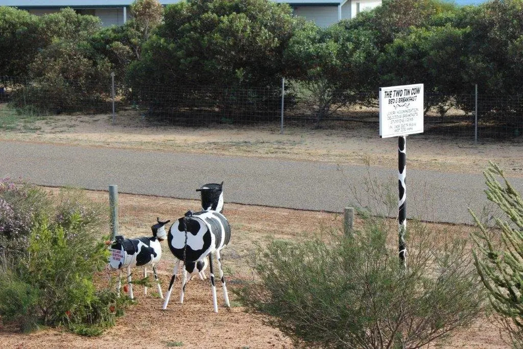 The Two Tin Cow B&B — фото 3
