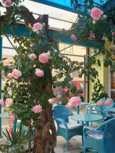 Hotel Da Giovanna - Général