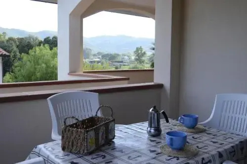 Balcony & Terrace