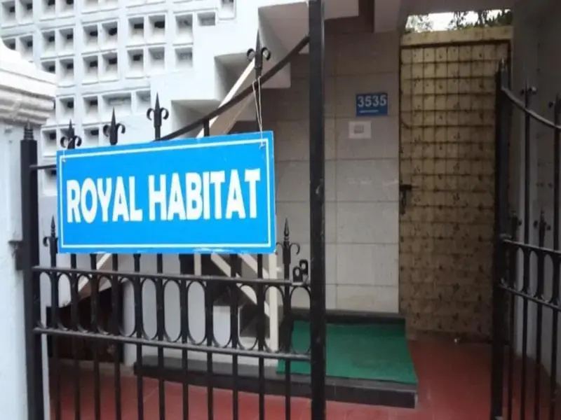 Compact - Royal Habitat