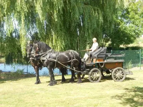 t'Ooievaarsnest - фото 3